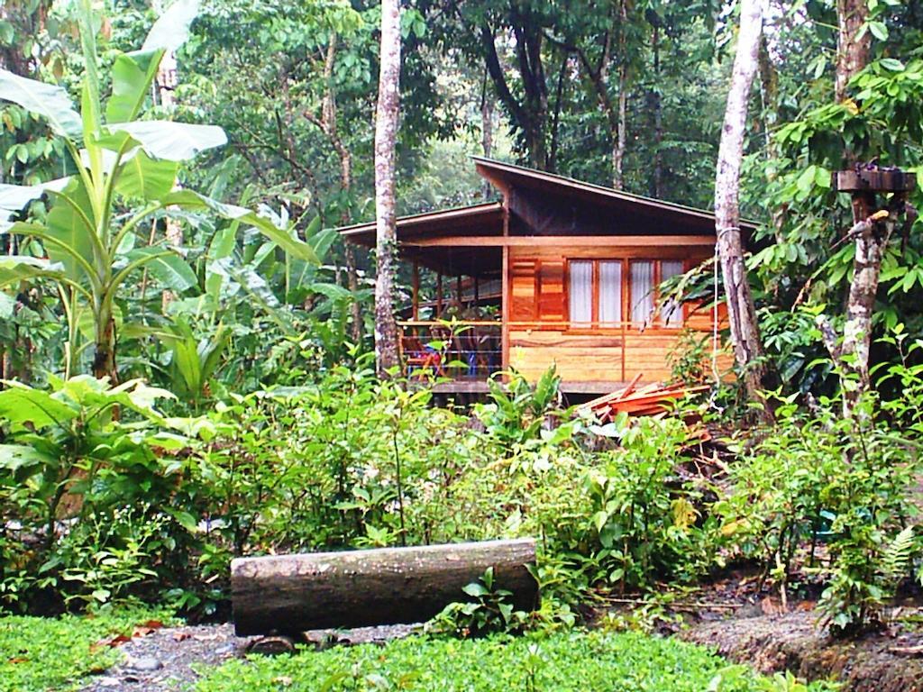 El Tucan Jungle Lodge Puerto Viejo de Talamanca Exterior photo