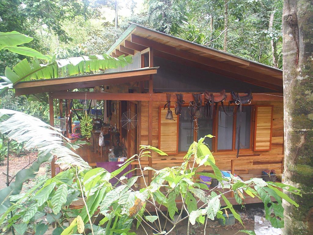 El Tucan Jungle Lodge Puerto Viejo de Talamanca Room photo