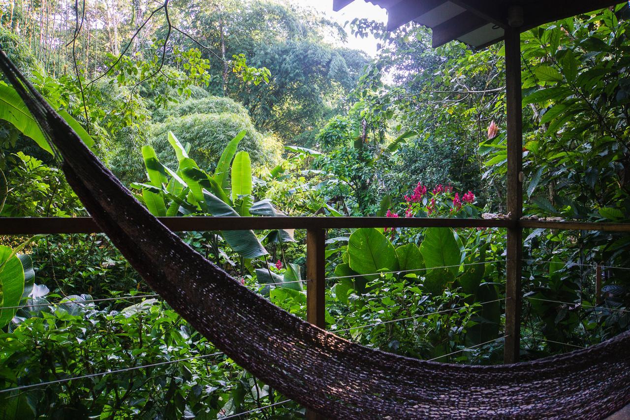 El Tucan Jungle Lodge Puerto Viejo de Talamanca Exterior photo