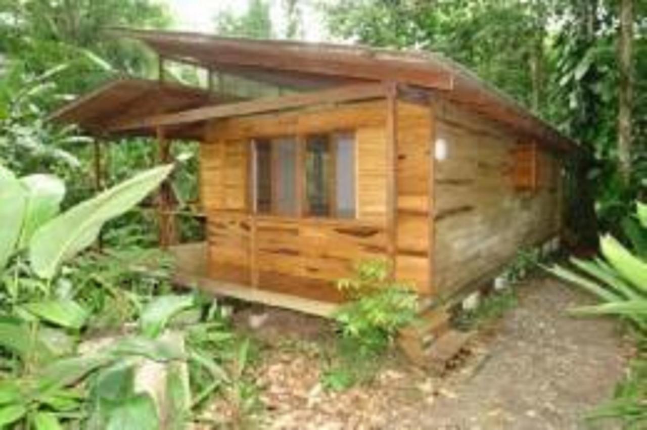 El Tucan Jungle Lodge Puerto Viejo de Talamanca Exterior photo